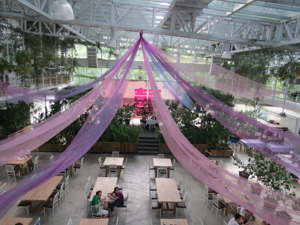 香草菲菲芳香植物博物館:香入菲菲的香草菲菲【宜蘭/香草菲菲】