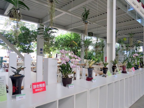 香草菲菲芳香植物博物館:香入菲菲的香草菲菲【宜蘭/香草菲菲】