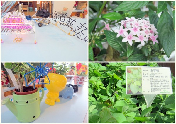 香草菲菲芳香植物博物館:香入菲菲的香草菲菲【宜蘭/香草菲菲】