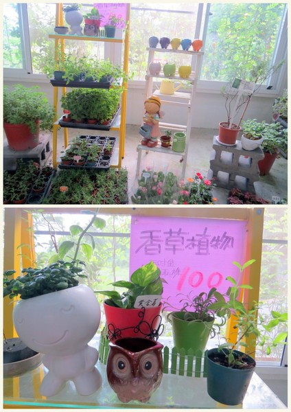 香草菲菲芳香植物博物館:香入菲菲的香草菲菲【宜蘭/香草菲菲】