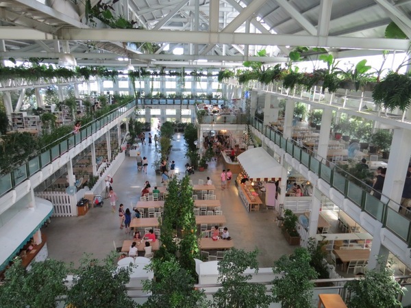 香草菲菲芳香植物博物館:香入菲菲的香草菲菲【宜蘭/香草菲菲】