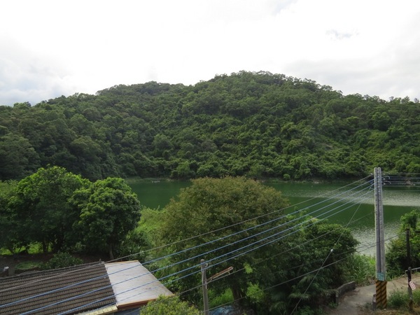 香草菲菲芳香植物博物館:香入菲菲的香草菲菲【宜蘭/香草菲菲】