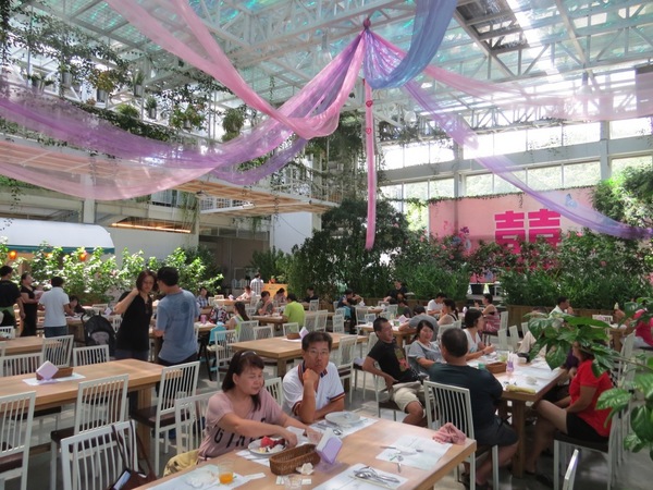 香草菲菲芳香植物博物館:香入菲菲的香草菲菲【宜蘭/香草菲菲】