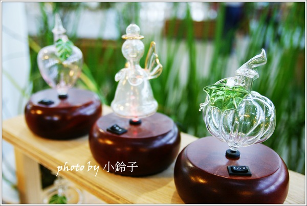 香草菲菲芳香植物博物館:宜蘭員山「香草菲菲」超大室內植物園