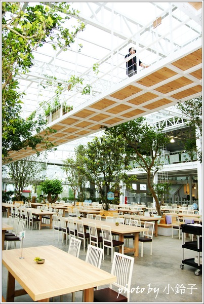 香草菲菲芳香植物博物館:宜蘭員山「香草菲菲」超大室內植物園