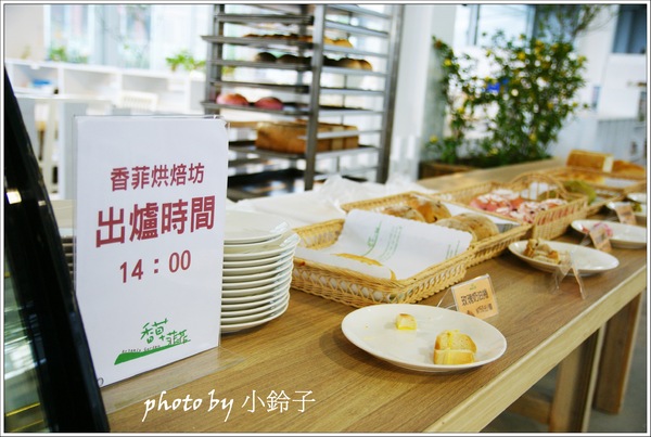 香草菲菲芳香植物博物館:宜蘭員山「香草菲菲」超大室內植物園