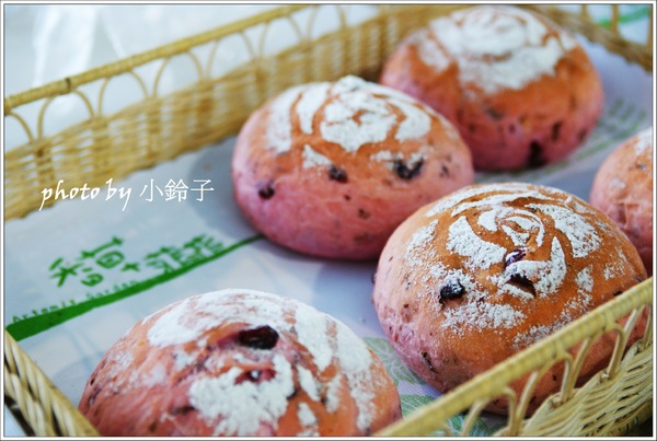 香草菲菲芳香植物博物館:宜蘭員山「香草菲菲」超大室內植物園