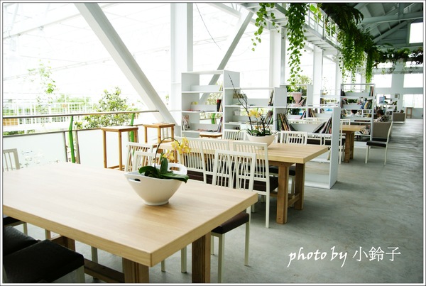 香草菲菲芳香植物博物館:宜蘭員山「香草菲菲」超大室內植物園