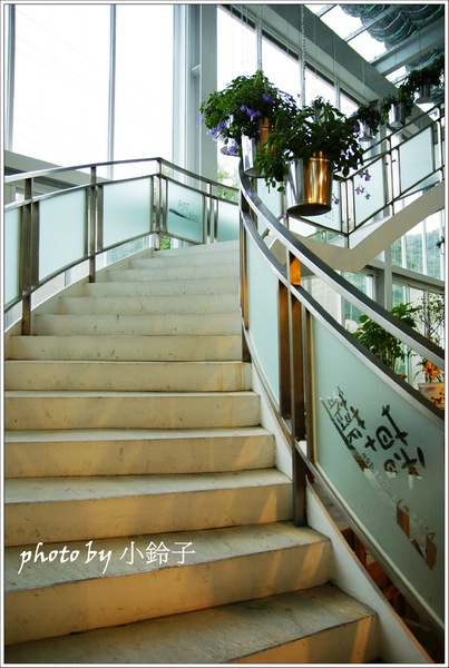 香草菲菲芳香植物博物館:宜蘭員山「香草菲菲」超大室內植物園