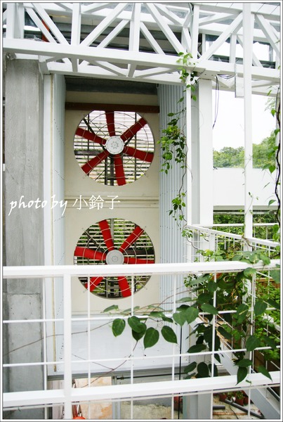 香草菲菲芳香植物博物館:宜蘭員山「香草菲菲」超大室內植物園