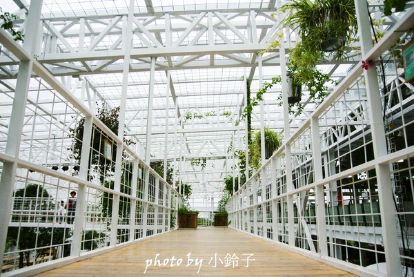 香草菲菲芳香植物博物館:宜蘭員山「香草菲菲」超大室內植物園