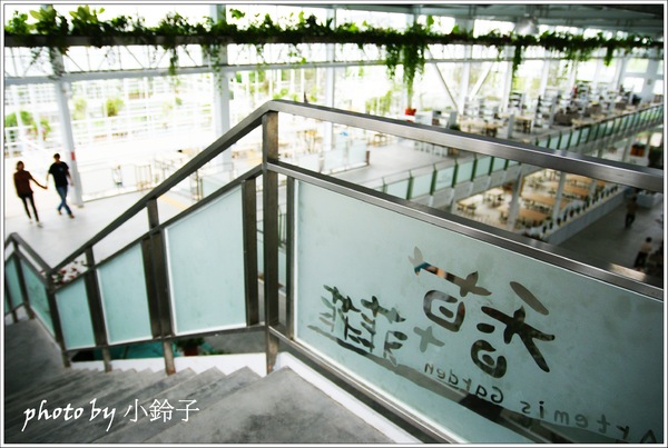 香草菲菲芳香植物博物館:宜蘭員山「香草菲菲」超大室內植物園