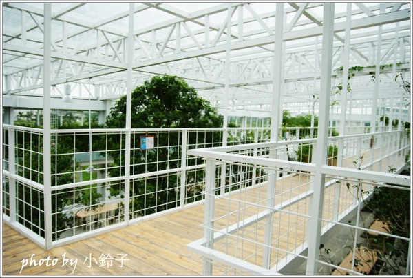 香草菲菲芳香植物博物館:宜蘭員山「香草菲菲」超大室內植物園