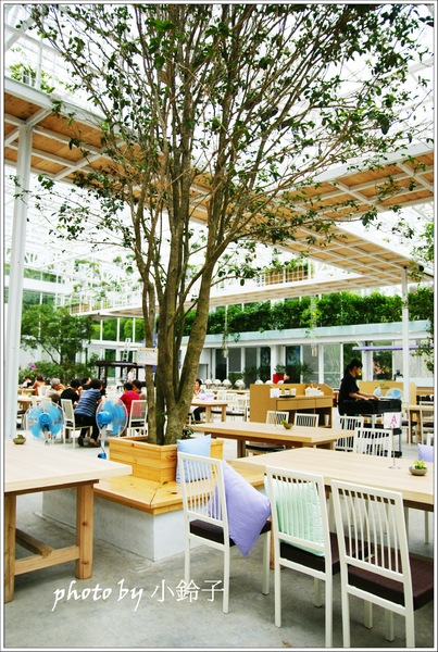 香草菲菲芳香植物博物館:宜蘭員山「香草菲菲」超大室內植物園