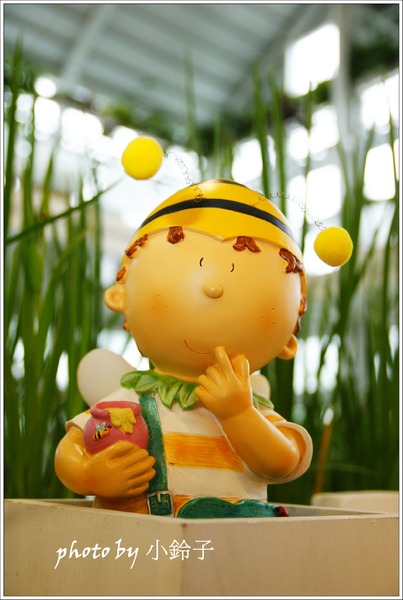 香草菲菲芳香植物博物館:宜蘭員山「香草菲菲」超大室內植物園