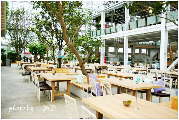 香草菲菲芳香植物博物館:宜蘭員山「香草菲菲」超大室內植物園