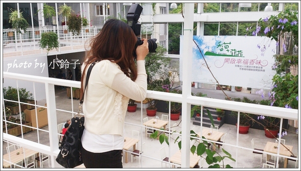 香草菲菲芳香植物博物館:宜蘭員山「香草菲菲」超大室內植物園