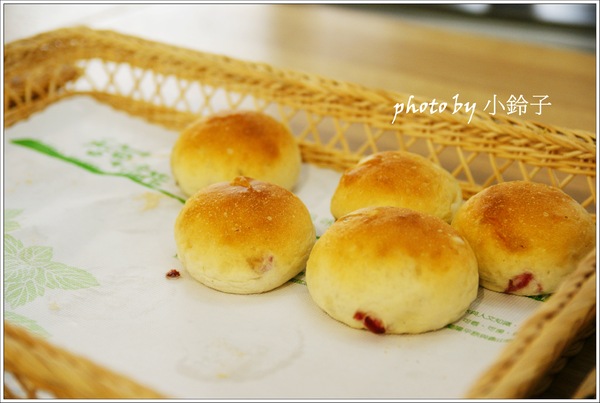 香草菲菲芳香植物博物館:宜蘭員山「香草菲菲」超大室內植物園