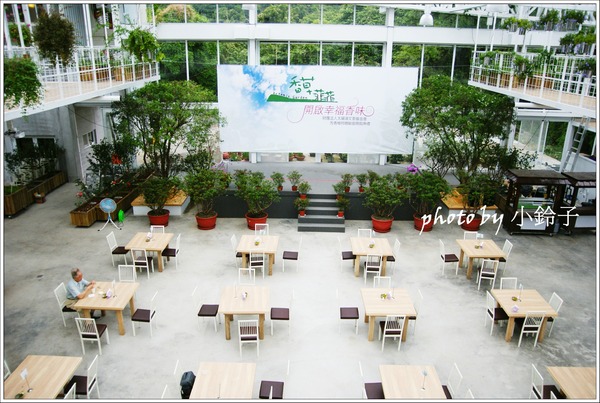 香草菲菲芳香植物博物館:宜蘭員山「香草菲菲」超大室內植物園