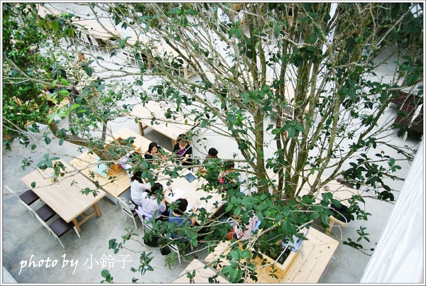 香草菲菲芳香植物博物館:宜蘭員山「香草菲菲」超大室內植物園