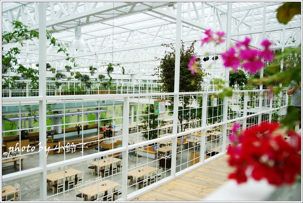 香草菲菲芳香植物博物館:宜蘭員山「香草菲菲」超大室內植物園