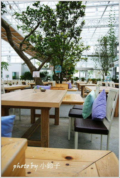 香草菲菲芳香植物博物館:宜蘭員山「香草菲菲」超大室內植物園