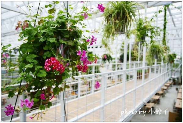 香草菲菲芳香植物博物館:宜蘭員山「香草菲菲」超大室內植物園