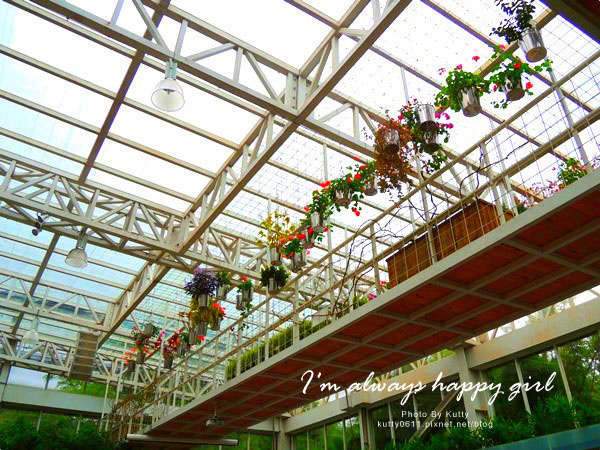 2014-4-27香草菲菲 (15).jpg