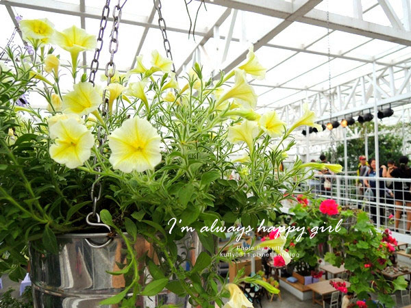 2014-4-27香草菲菲 (20).jpg