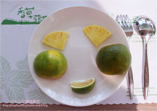 宜蘭香草菲菲 39.JPG