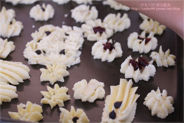 宜蘭香草菲菲 23.JPG