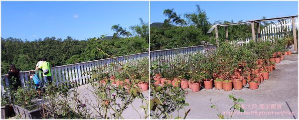 宜蘭香草菲菲 43.jpg