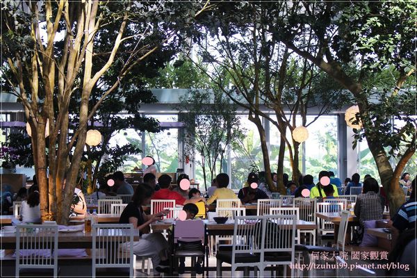 宜蘭香草菲菲 40.JPG