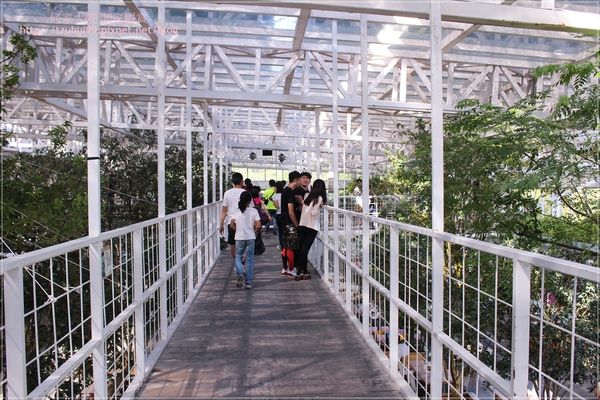 宜蘭香草菲菲 13.JPG