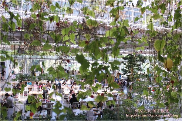 宜蘭香草菲菲 41.JPG