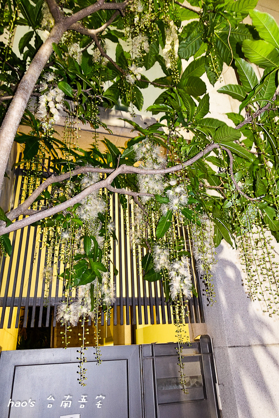 201606台南吾宅008