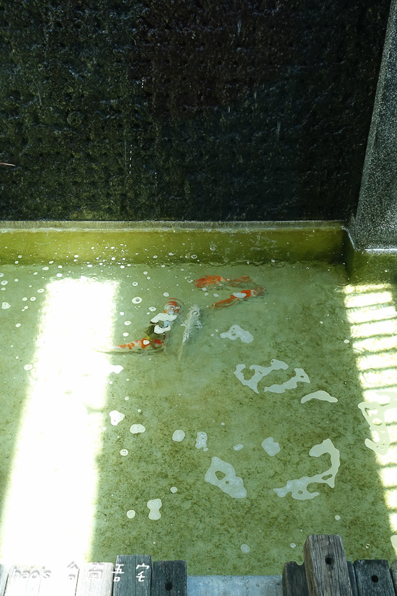 201606台南吾宅029