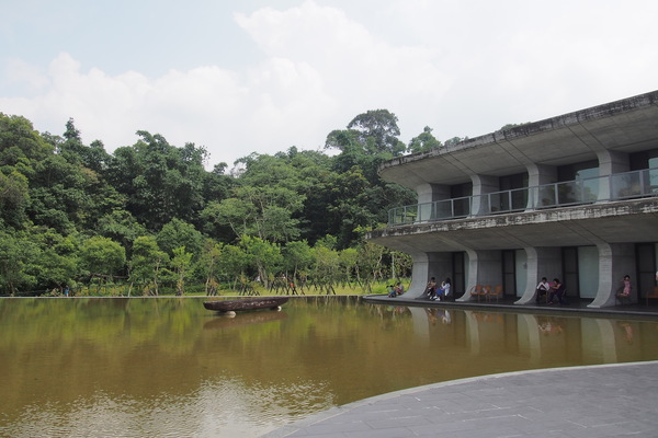 金盆阿嬤的香菇茶葉蛋：【南投・日月潭】阿婆茶葉蛋＆所長茶葉蛋