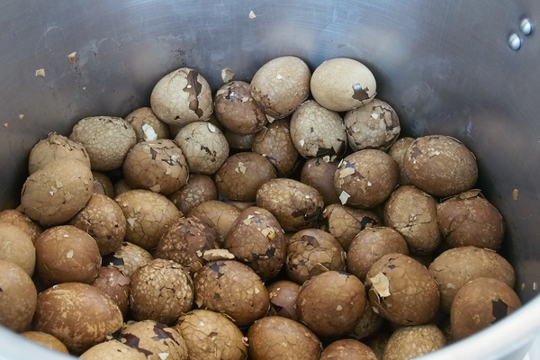 金盆阿嬤的香菇茶葉蛋：【南投・日月潭】阿婆茶葉蛋＆所長茶葉蛋