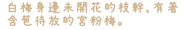 逸仙公園:【台北◍•ᴗ•◍中正】捷運台北車站✯賞梅景點・日式建築景點・逸仙公園賞梅|雪白滿開白梅、嬌滴粉嫩宮粉梅與日式建築相映的風雅景致