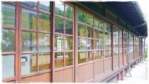 逸仙公園:【台北◍•ᴗ•◍中正】捷運台北車站✯賞梅景點・日式建築景點・逸仙公園賞梅|雪白滿開白梅、嬌滴粉嫩宮粉梅與日式建築相映的風雅景致