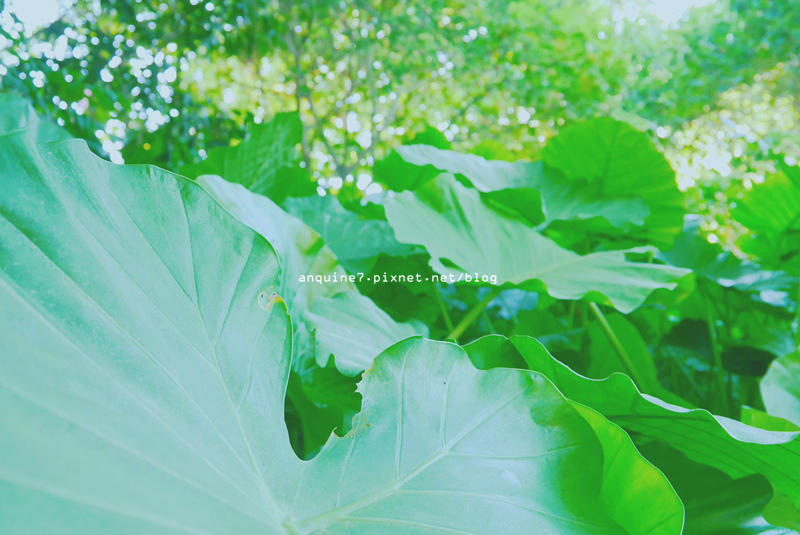 廖西瓜＠台北市立兒童育樂中心35