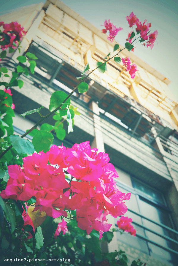 廖西瓜＠台北市立兒童育樂中心46