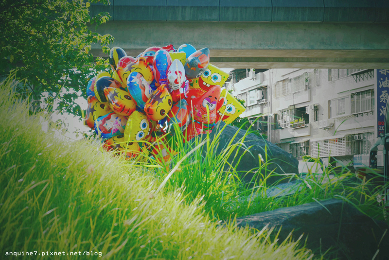 廖西瓜＠台北市立兒童育樂中心41