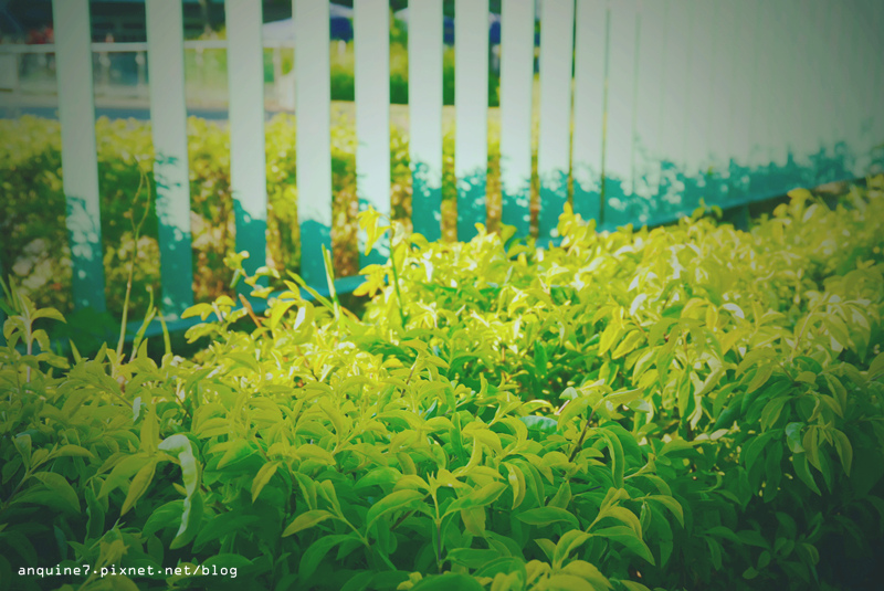 廖西瓜＠台北市立兒童育樂中心40