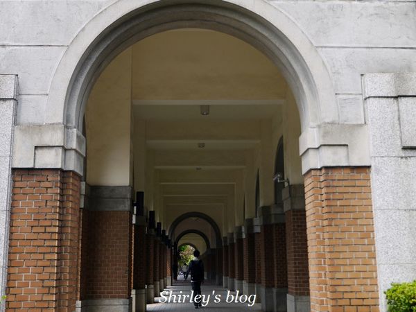 國立台灣大學:台大校園春之雪~流蘇