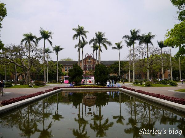 國立台灣大學:台大校園春之雪~流蘇