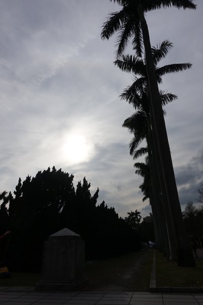 國立臺灣大學:(胖樺遊記)四季如春「台灣大學」校區。杜鵑花季正開始,還可抓到賞櫻末段時光,萬紫千紅的繽紛炫爛適合闔家來訪