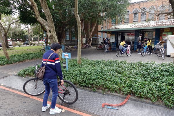 國立臺灣大學:(胖樺遊記)四季如春「台灣大學」校區。杜鵑花季正開始,還可抓到賞櫻末段時光,萬紫千紅的繽紛炫爛適合闔家來訪