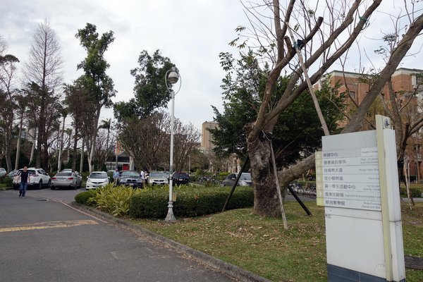 國立臺灣大學:(胖樺遊記)四季如春「台灣大學」校區。杜鵑花季正開始,還可抓到賞櫻末段時光,萬紫千紅的繽紛炫爛適合闔家來訪